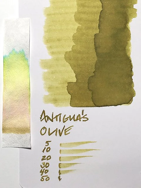オリーブ 古木 old olive 細川正己 invisible ink srl Ink Review: Antigua's Olive fountain pen ink — Inky Inspirations